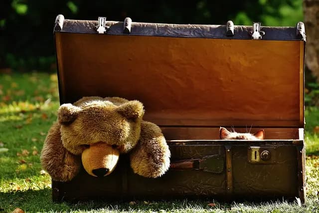 Top Interactive Pet Toys for Engaging Playtime